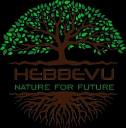 Hebbevu